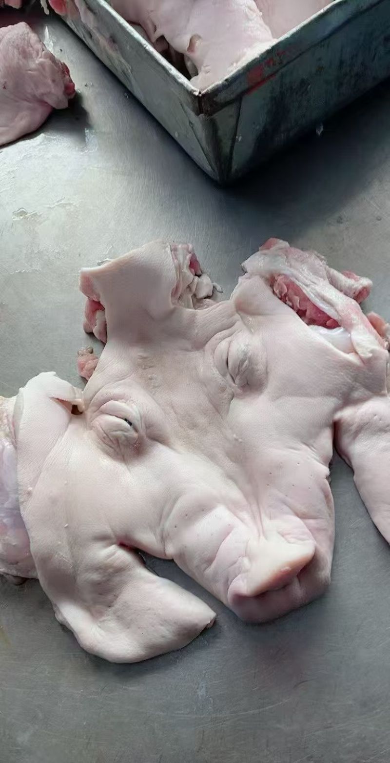 生猪脸肉，一件20斤，全国发货