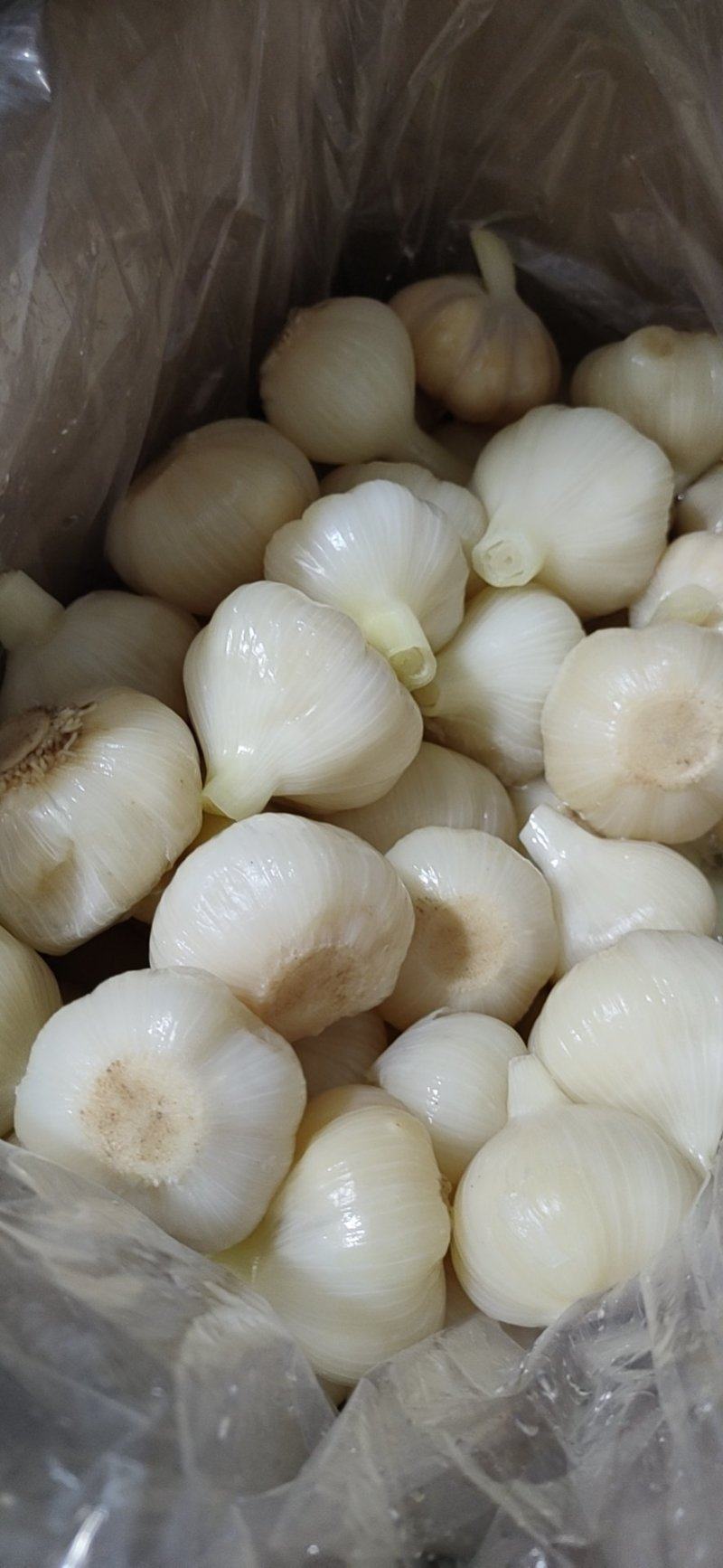 【糖蒜】金乡糖醋蒜新鲜腌制酸甜适中白度好脆度高可代工贴牌