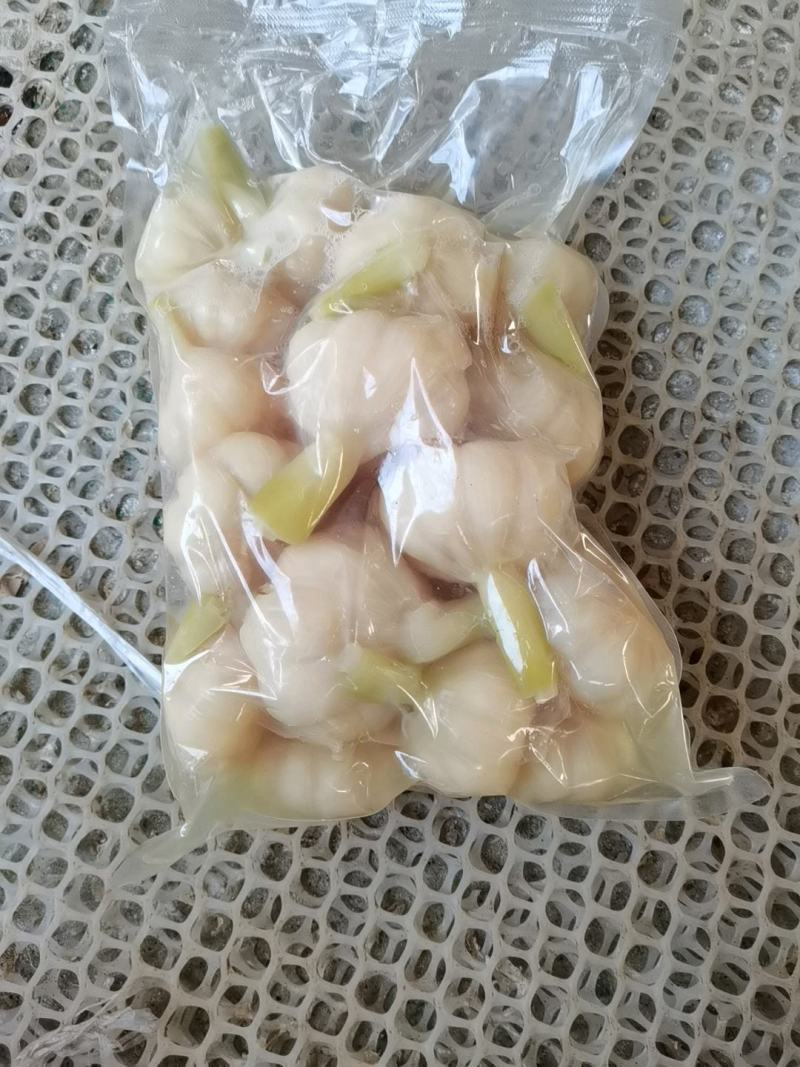 【糖蒜】金乡糖醋蒜新鲜腌制酸甜适中白度好脆度高可代工贴牌