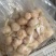 【糖蒜】金乡糖醋蒜新鲜腌制酸甜适中白度好脆度高可代工贴牌