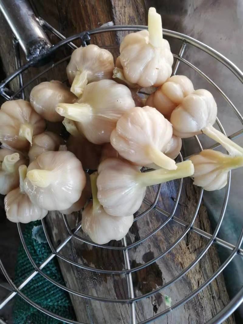 【糖蒜】金乡糖醋蒜新鲜腌制酸甜适中白度好脆度高可代工贴牌