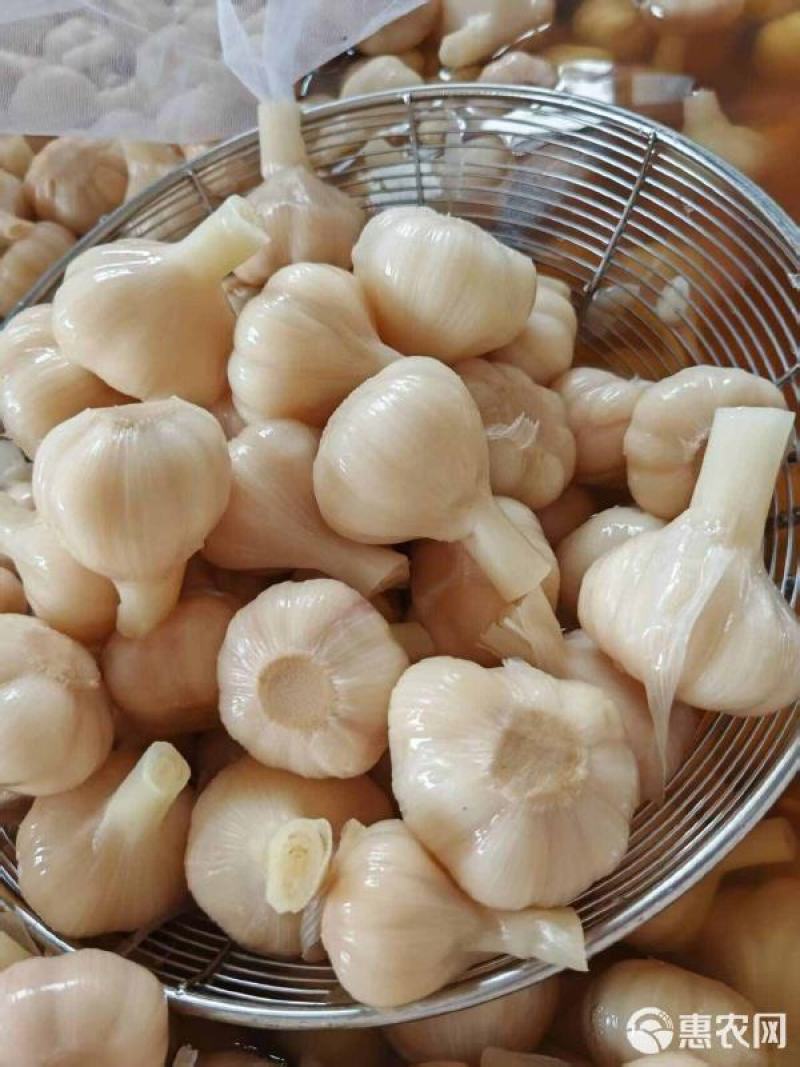 【糖蒜】金乡糖醋蒜新鲜腌制酸甜适中白度好脆度高可代工贴牌