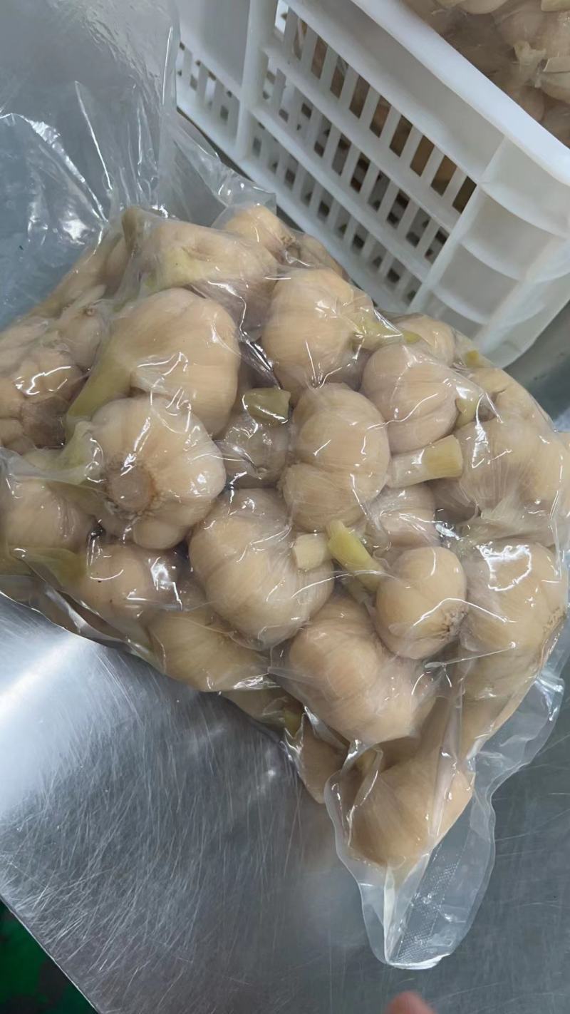 【糖蒜】金乡糖醋蒜新鲜腌制酸甜适中白度好脆度高可代工贴牌