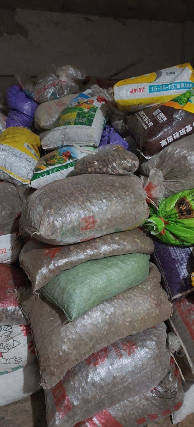 湖北省咸丰县世界唐崖油桐籽基地，需要的老板联系我