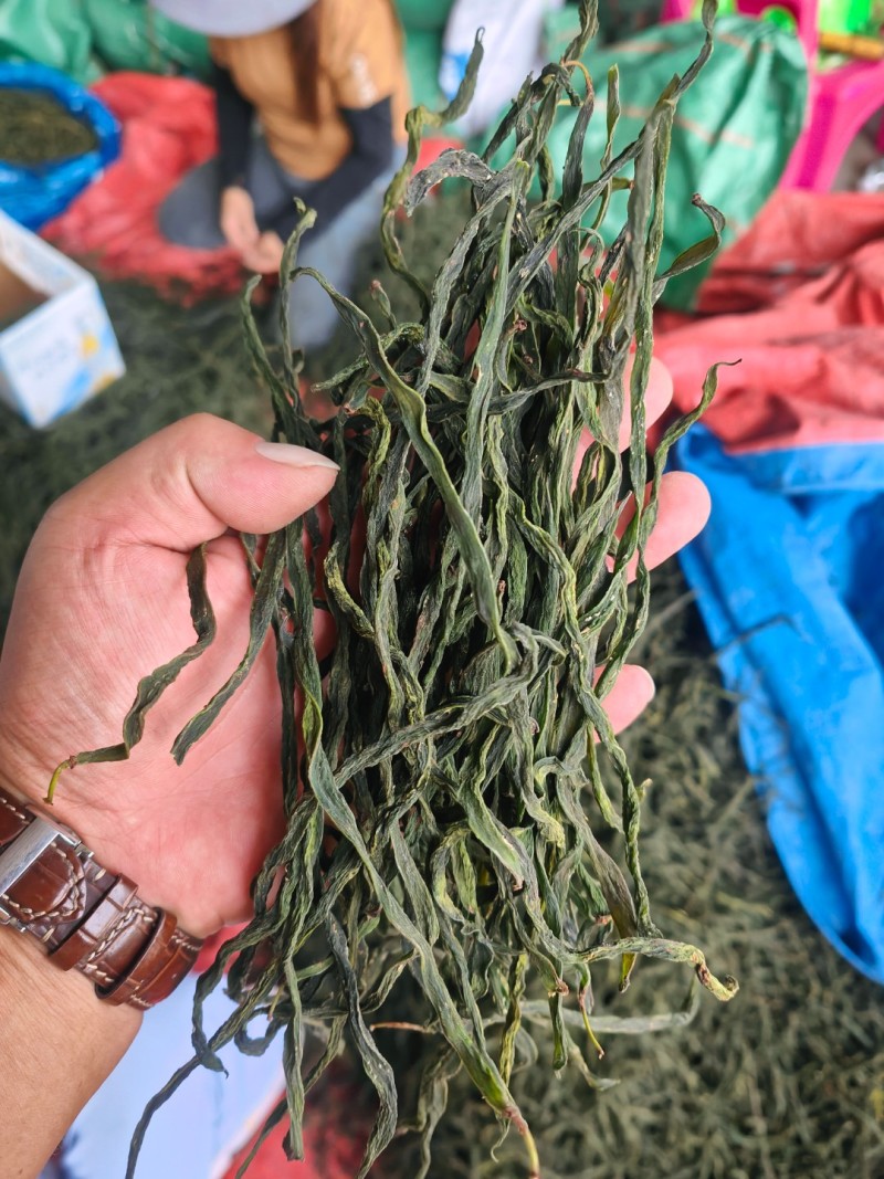 精品架豆王