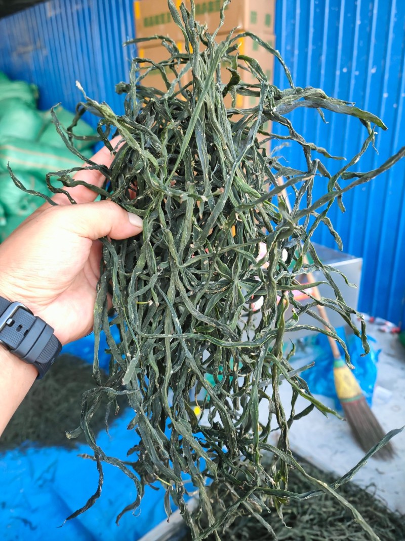精品架豆王