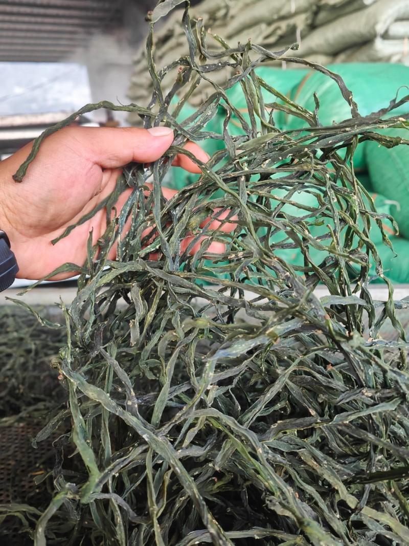 精品架豆王