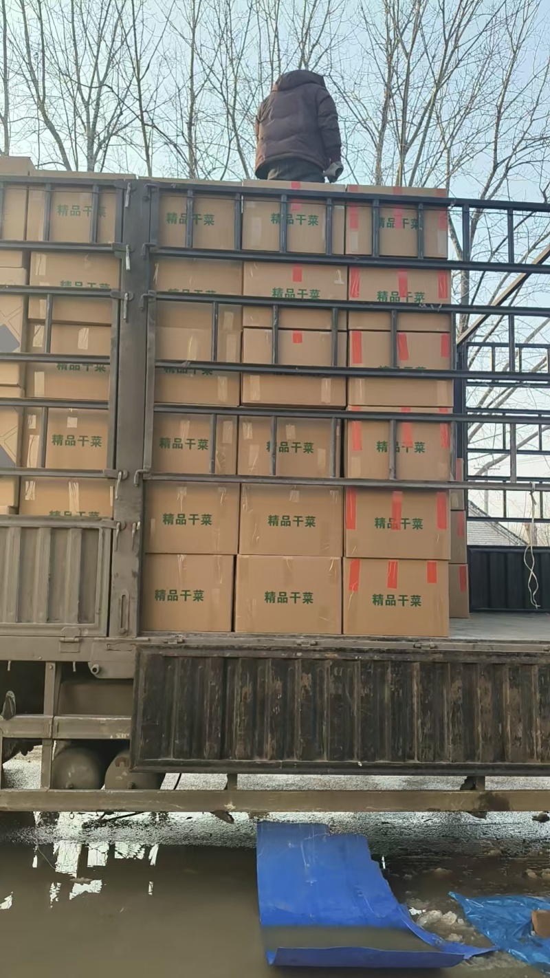 精品架豆王