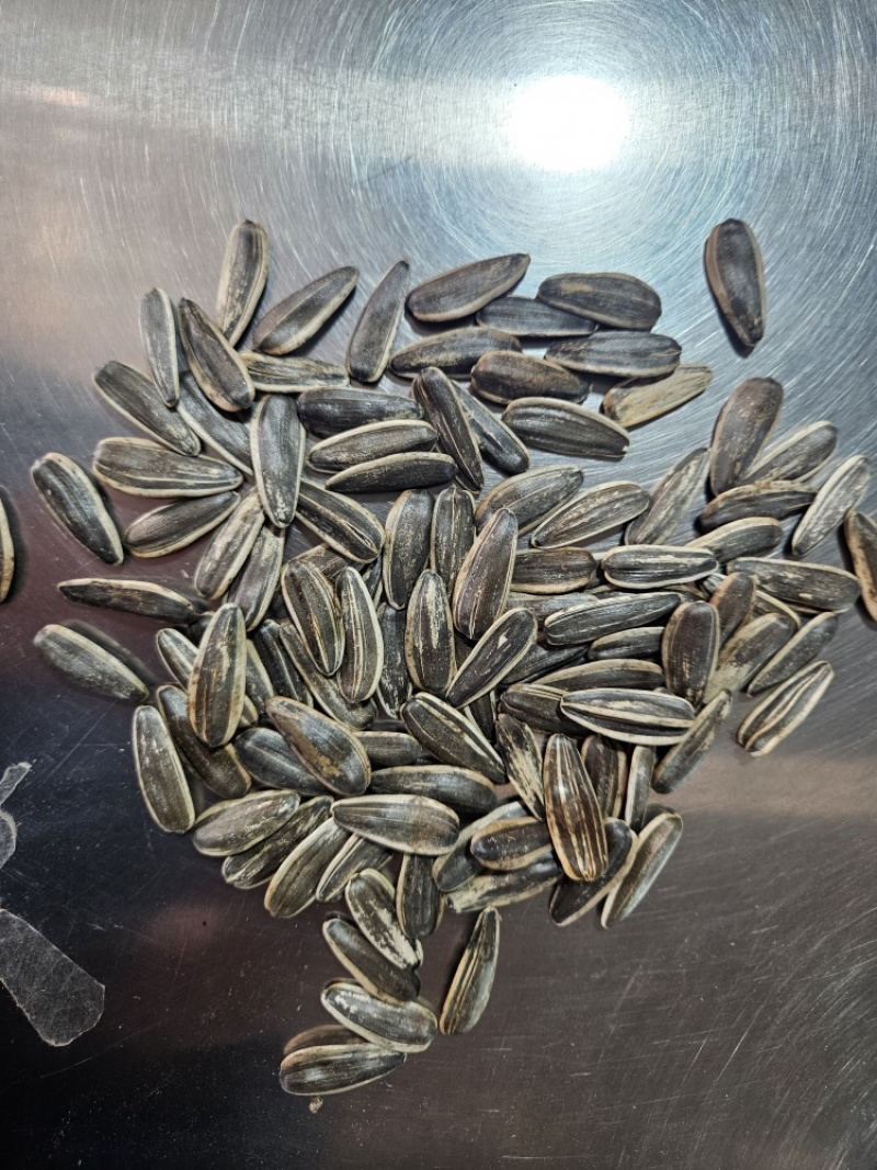 原味瓜子熟瓜子现货批发