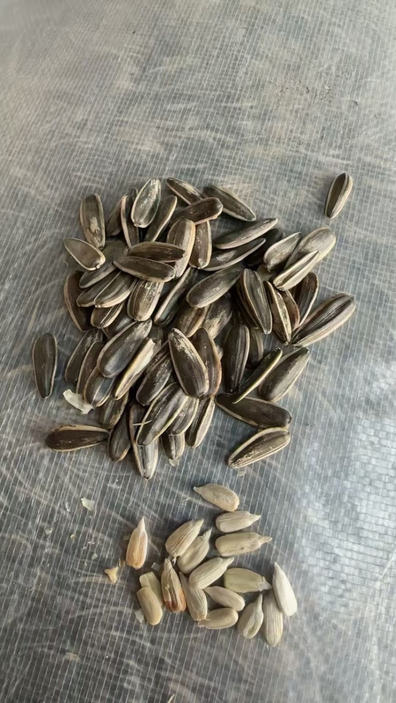 原味瓜子熟瓜子现货批发