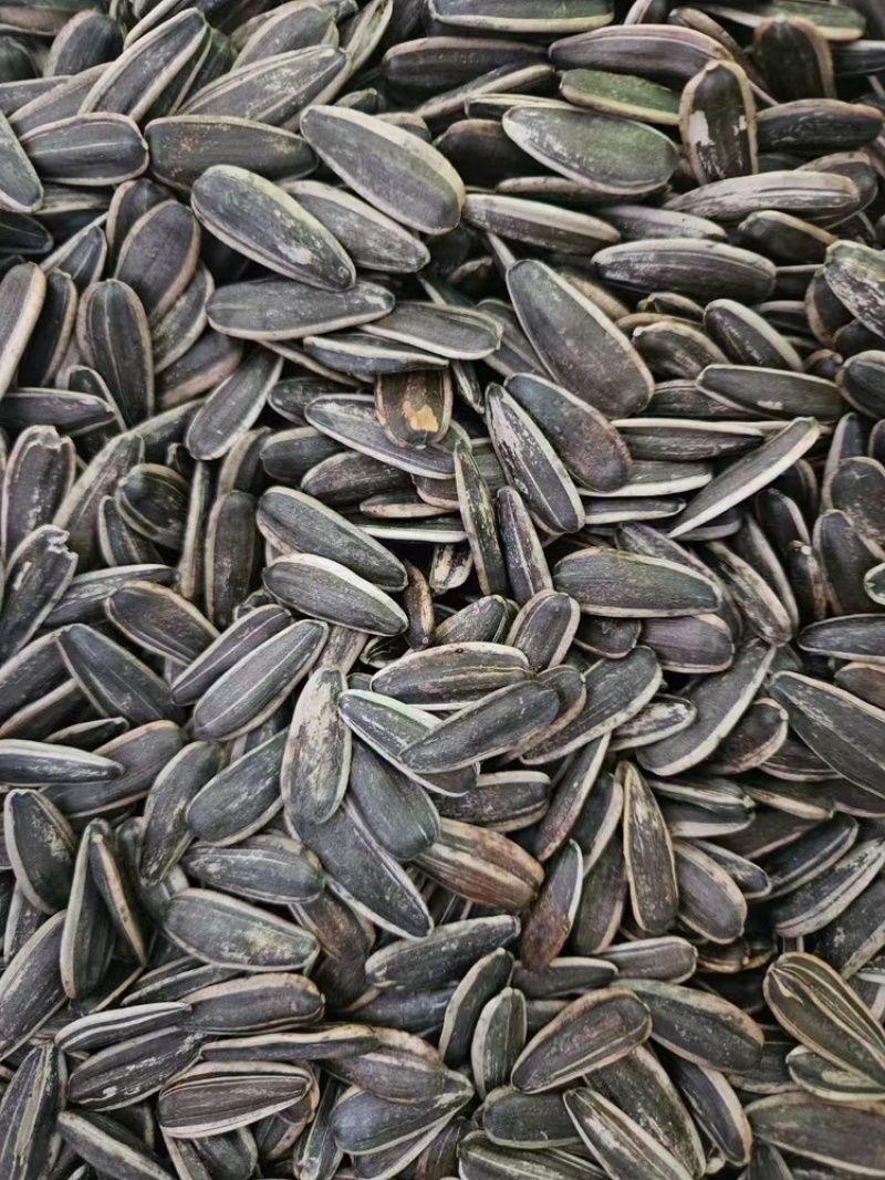 原味瓜子熟瓜子现货批发