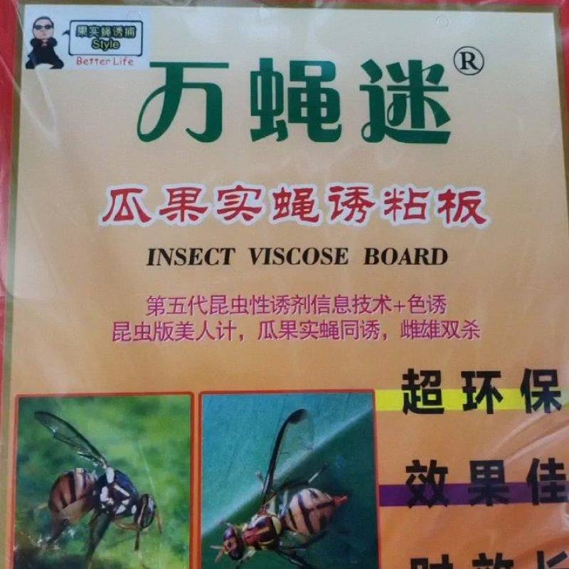 瓜果实蝇诱粘贴