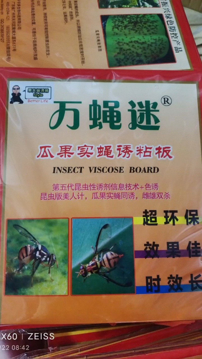 瓜果实蝇诱粘贴