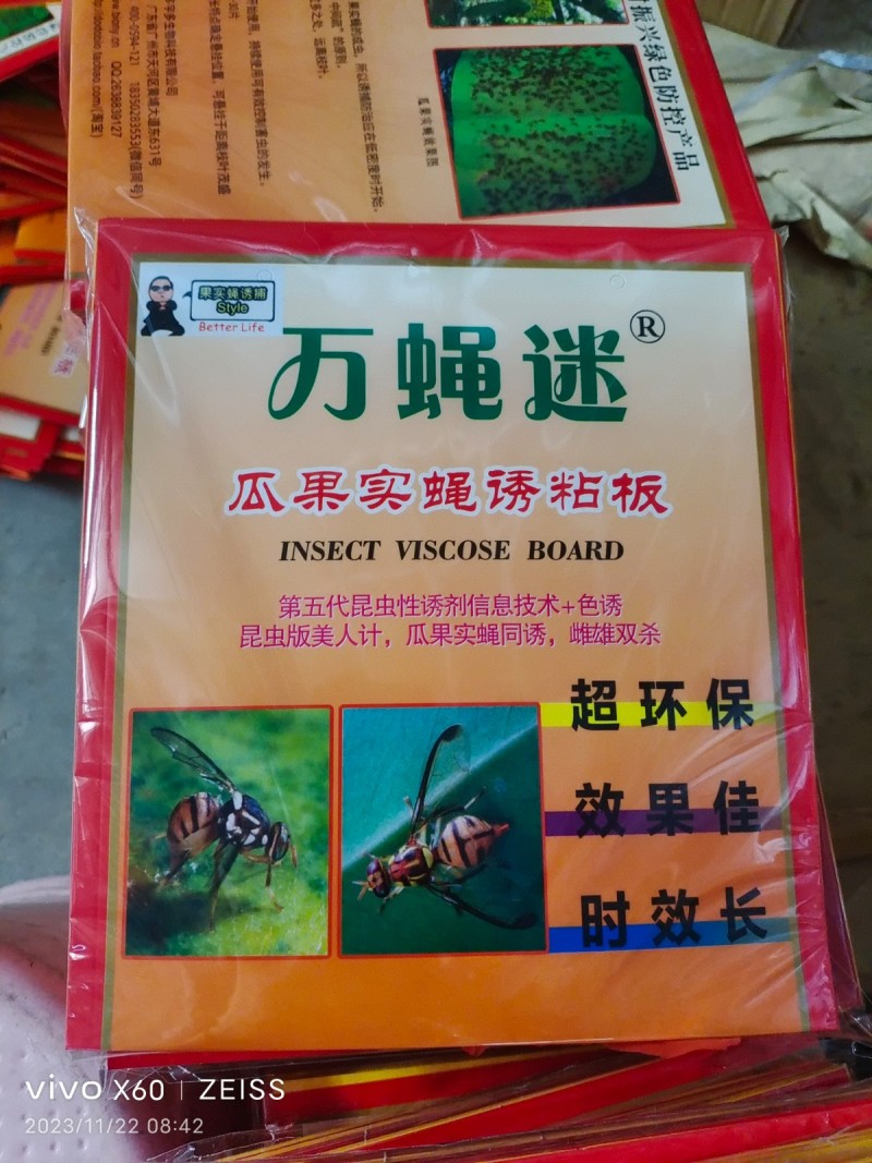 瓜果实蝇诱粘贴