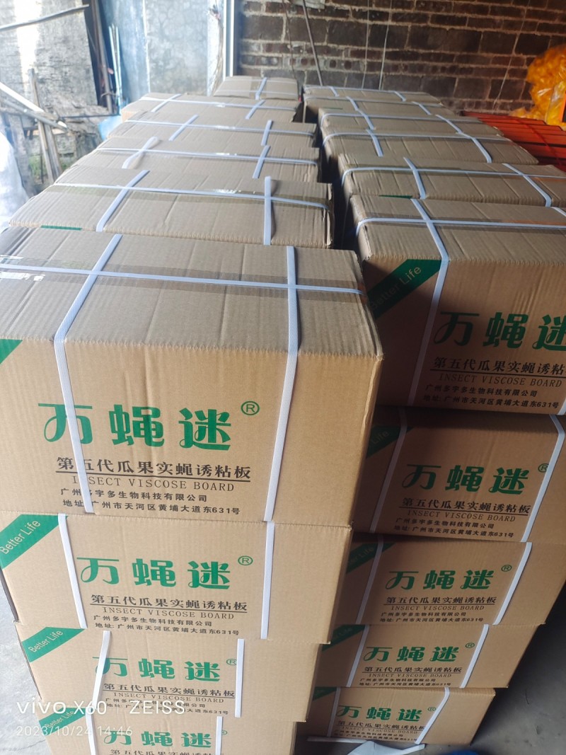 瓜果实蝇诱粘贴