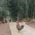 竹林跑山鸡