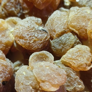 土贝母，自产自销，颗粒晶莹剔透，诚信经营欢迎老板电询。