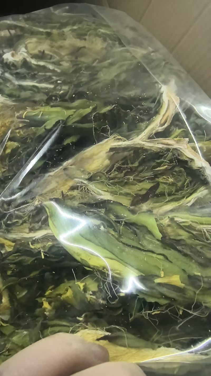 【霸王花】肉质厚实煲汤料滋补干货批发零售