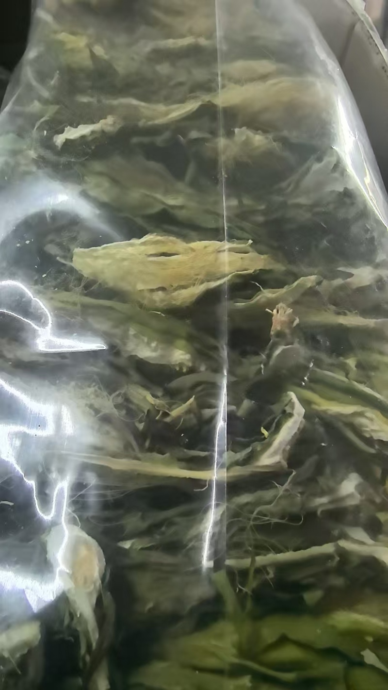 【霸王花】肉质厚实煲汤料滋补干货批发零售