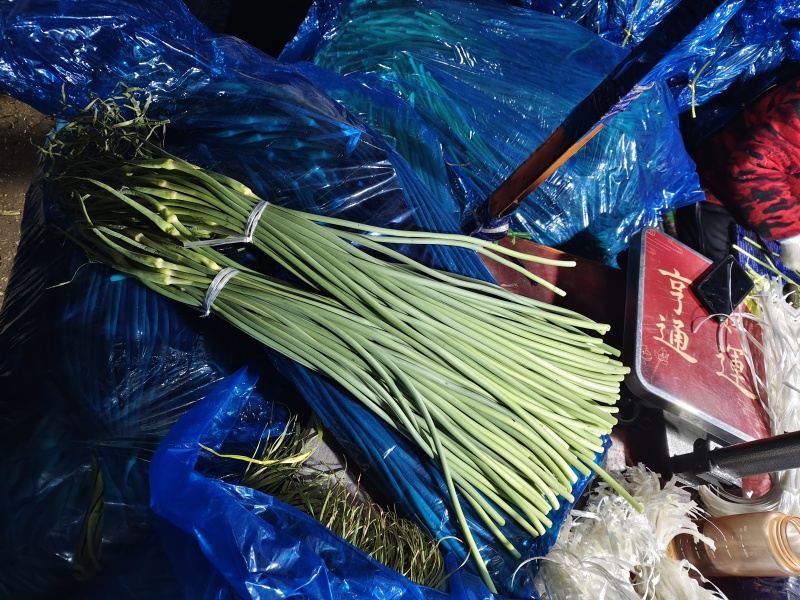 【精品】蒜苔(白帽、红帽）冷库直销.货源充足.随到随装