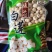 连子