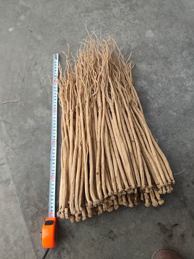 岷县产地货源，颜色漂亮干度好无硫货源批发.