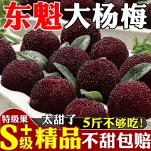 正宗东魁杨梅特级果当季新鲜水果爆甜多汁不甜包赔