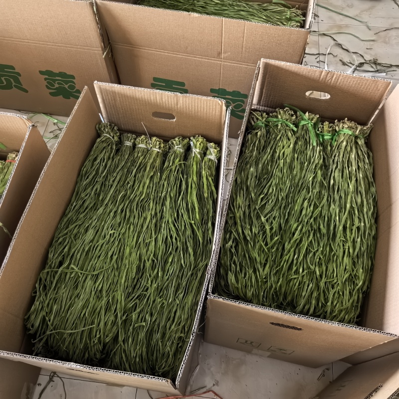 云南精品贡菜，产地直发。