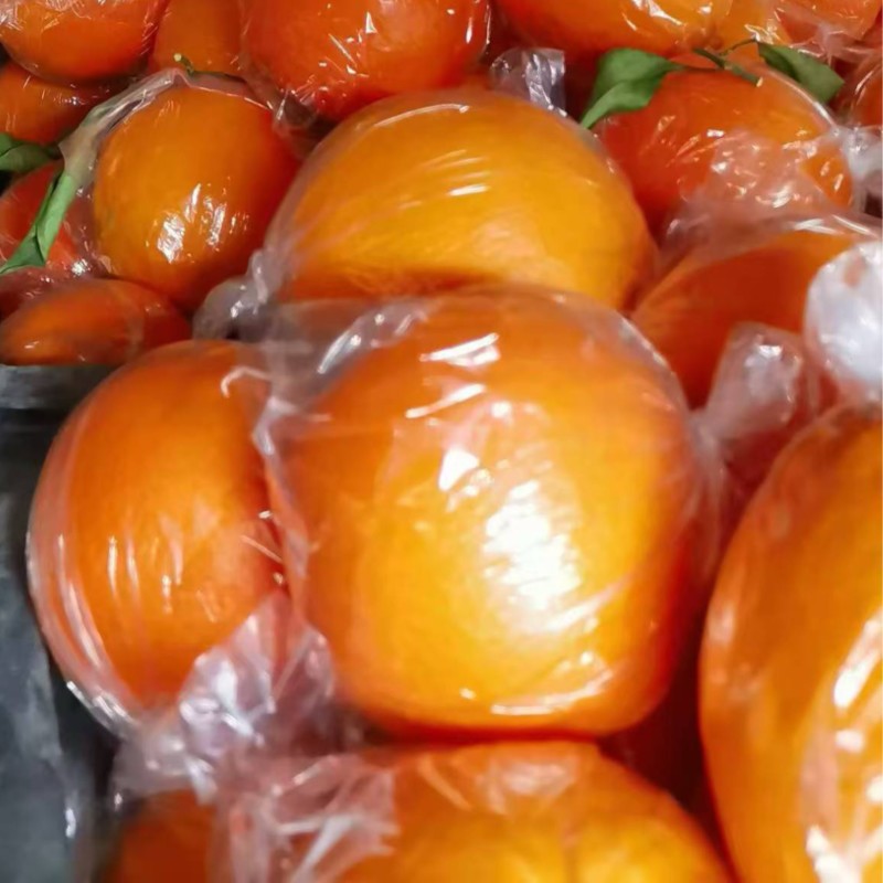 湖南套袋脐橙纽荷尔大量供应量大从优对接全国