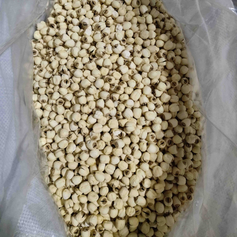 干莲子江西万亩基地直供，加工生产一条龙，常年大量供应