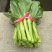 白菜苔（未使用农药）