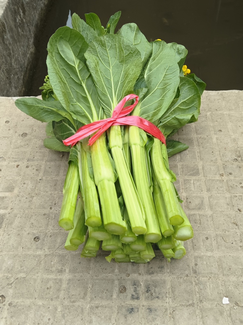 白菜苔（未使用农药）