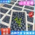 【莒县蓝莓】L25蓝莓基地现摘/全国发货/欢迎来电洽谈