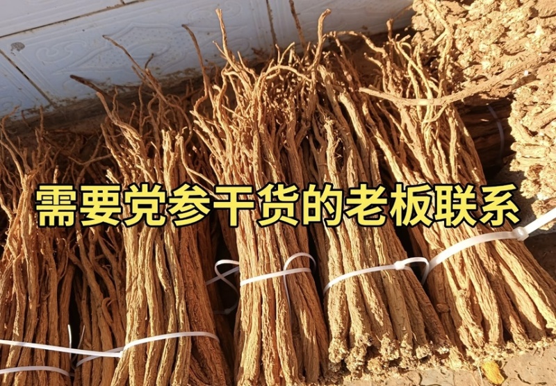 贵州威宁黄党