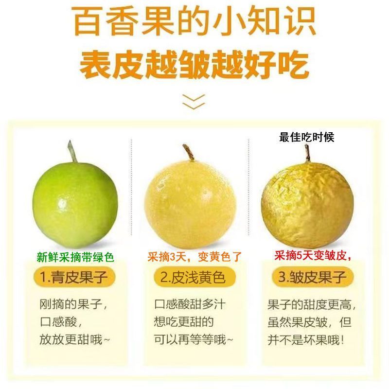 一件代发海南钦蜜九号百香果