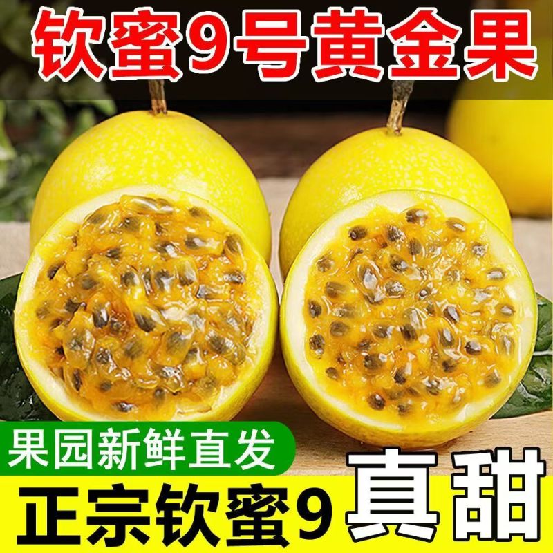 一件代发海南钦蜜九号百香果