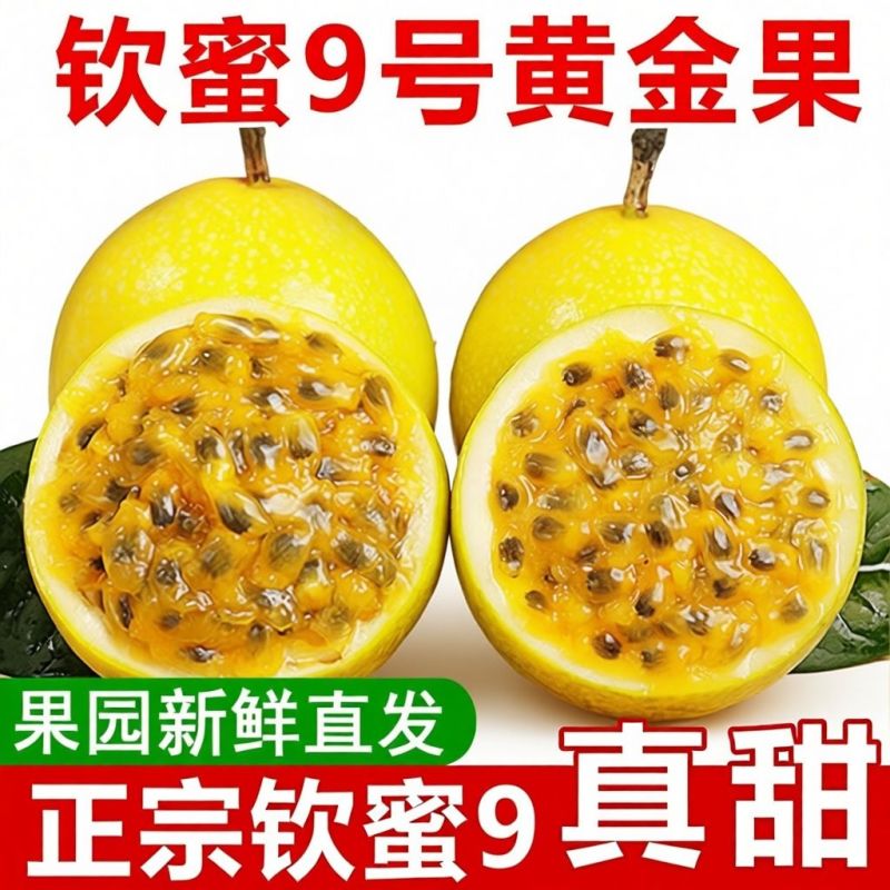 一件代发海南钦蜜九号百香果