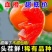 四川血橙电商平台一件代发5斤9斤日发万单玫瑰花血橙塔罗科