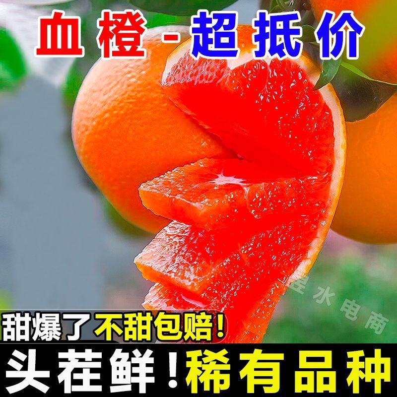 四川血橙电商平台一件代发5斤9斤日发万单玫瑰花血橙塔罗科