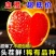 四川血橙电商平台一件代发5斤9斤日发万单玫瑰花血橙塔罗科