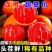 四川血橙电商平台一件代发5斤9斤日发万单玫瑰花血橙塔罗科