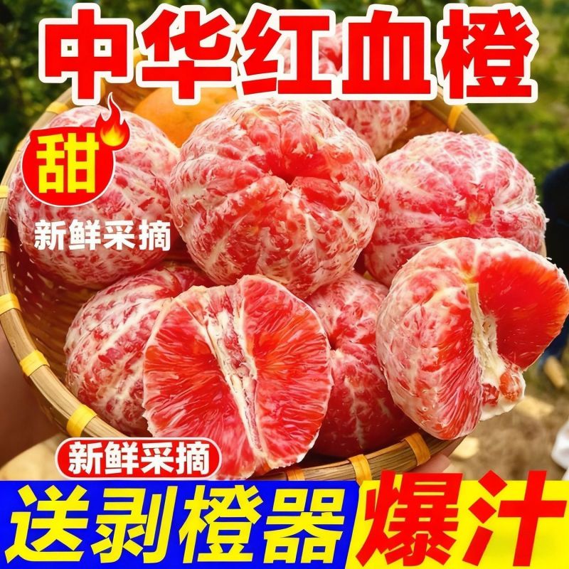 四川血橙电商平台一件代发5斤9斤日发万单玫瑰花血橙塔罗科