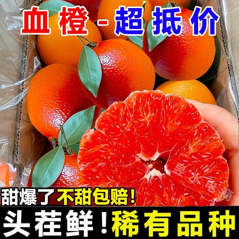 四川血橙电商平台一件代发5斤9斤日发万单玫瑰花血橙塔罗科