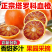 四川血橙电商平台一件代发5斤9斤日发万单玫瑰花血橙塔罗科