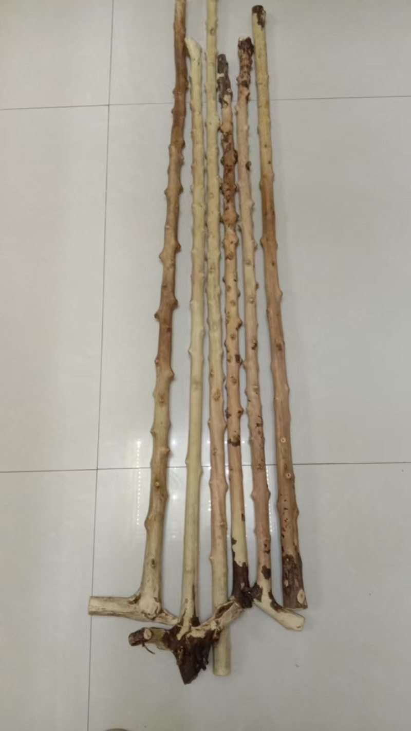 南对接木