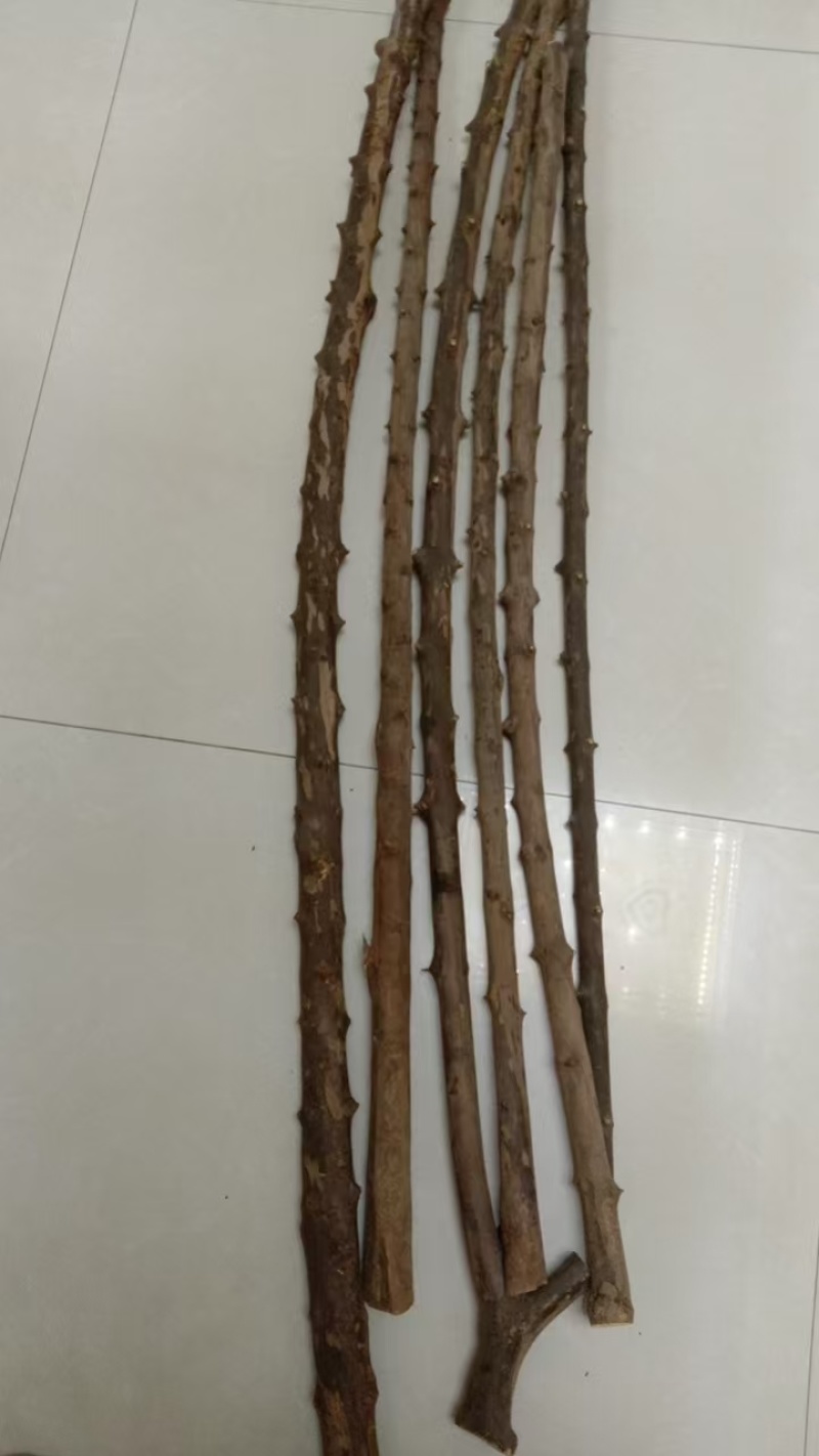 南对接木