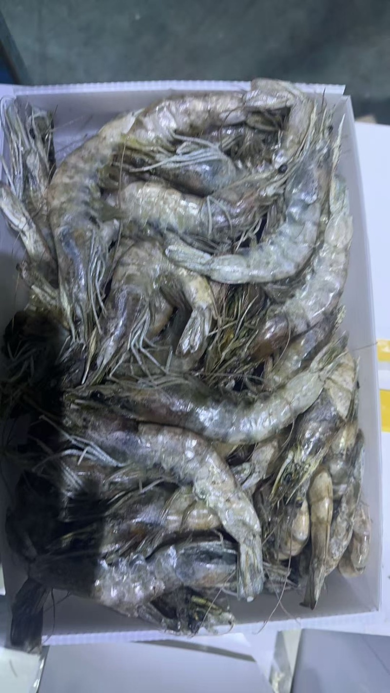 处理一批20-3030-4040-50盐冻虾