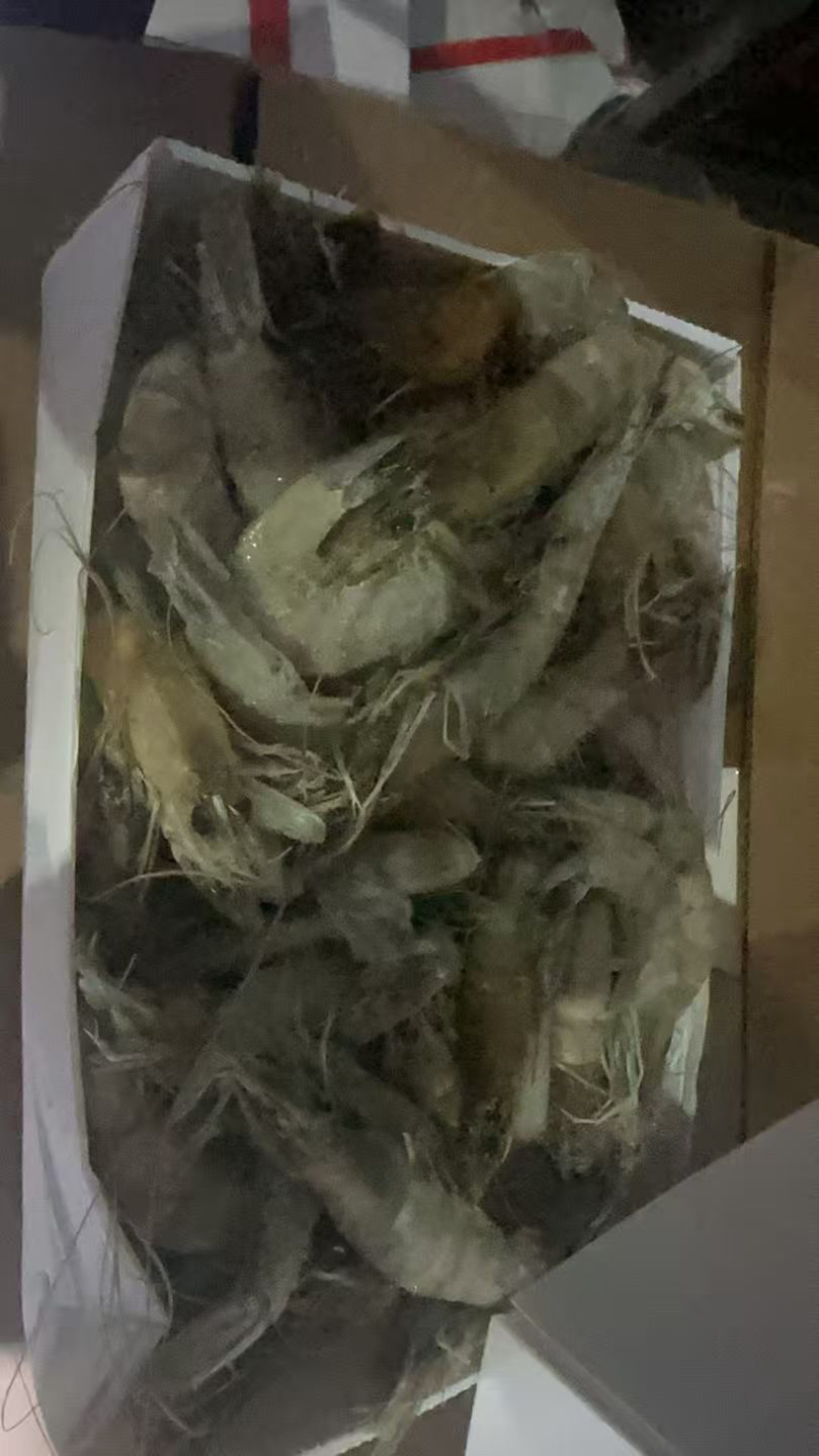 处理一批20-3030-4040-50盐冻虾