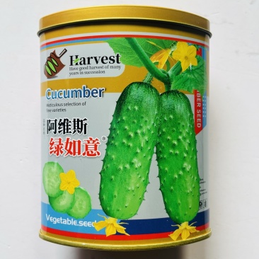 绿如意黄瓜品种种子水果型品种种子