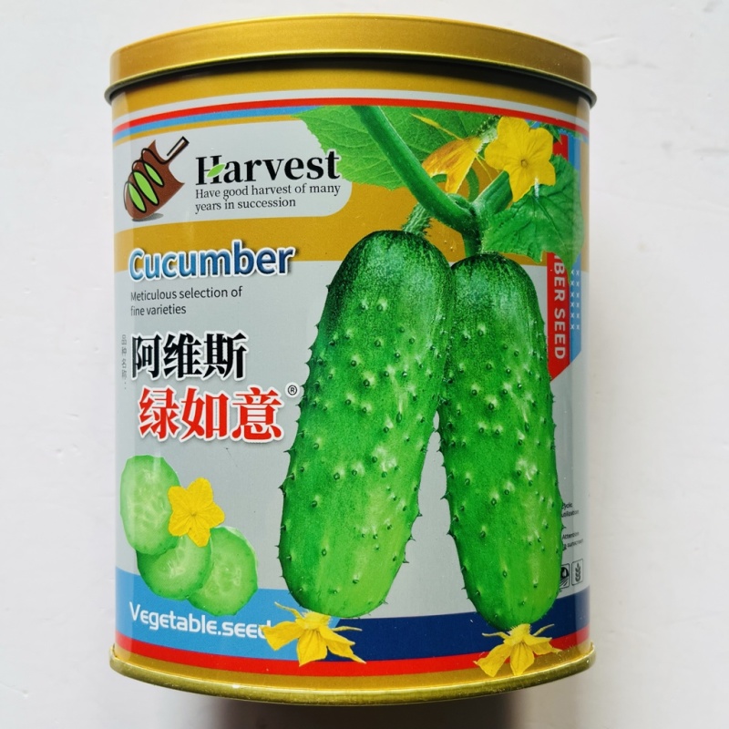 绿如意黄瓜品种种子水果型品种种子